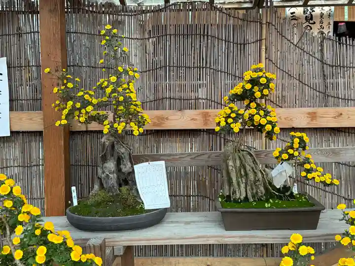 諏訪大社下社秋宮(長野県)