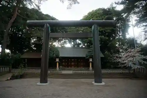 埼玉縣護國神社の鳥居