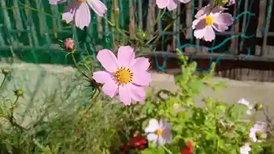 阿邪訶根神社(福島県)