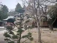 常陸第三宮　吉田神社の庭園