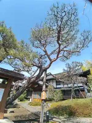 金剛院(東京都)