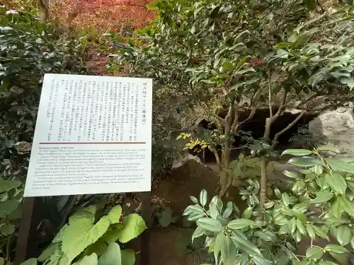 明月院の{uncategorized: "未分類", other: "その他", undefined: "問題あり", building: "その他建物", grave: "お墓", sacred_gate: "鳥居", guardian: "狛犬", statue: "像", buddha: "仏像", history: "歴史", nature: "自然", garden: "庭園", animal: "動物", pagoda: "塔", temizu: "手水舎", mountain_gate: "山門・神門", sanctuary: "本殿・本堂", subordinate: "末社・摂社", art: "芸術", scenery: "景色", jizo: "地蔵", ema: "絵馬", goshuin: "御朱印", omikuji: "おみくじ", items: "授与品その他", amulet: "お守り", goshuincho: "御朱印帳", eats: "食事", festival: "お祭り", votive_dance: "神楽", shichigosan: "七五三参", wedding: "結婚式", experience: "体験その他", initially: "初詣", around: "周辺", anti_infection: "感染症対策"}