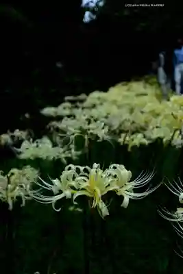 横浜　西方寺(神奈川県)