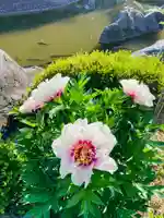 當麻寺 奥院の自然