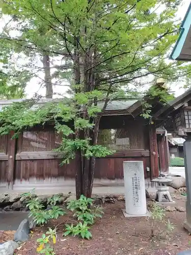 琴似神社の自然