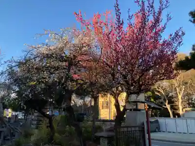 善性寺(神奈川県)
