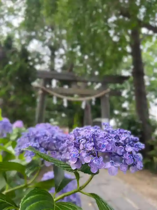 越谷香取神社の自然