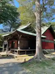 有鹿神社の本殿