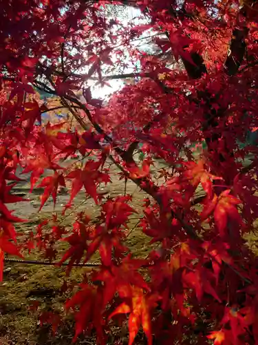 南禅寺(京都府)