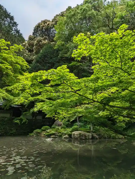 南禅院(京都府)