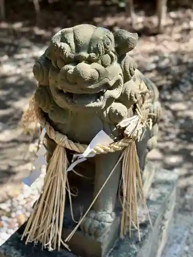 亀之森住吉神社の狛犬