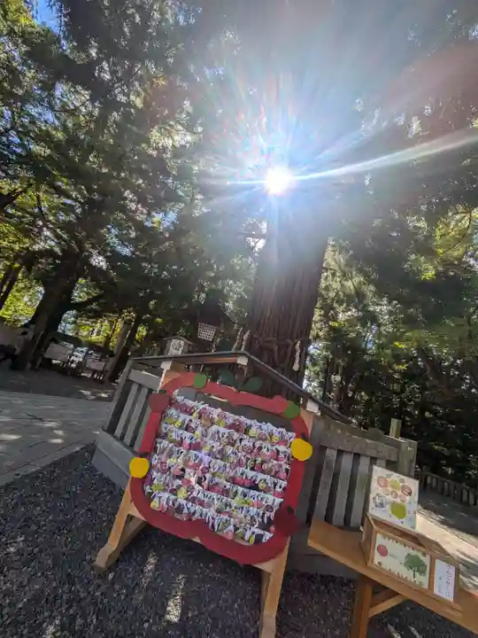 諏訪大社下社秋宮(長野県)