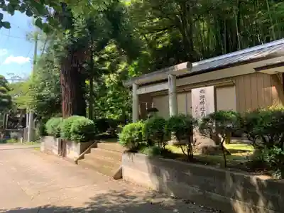 熊野神社(千葉県)