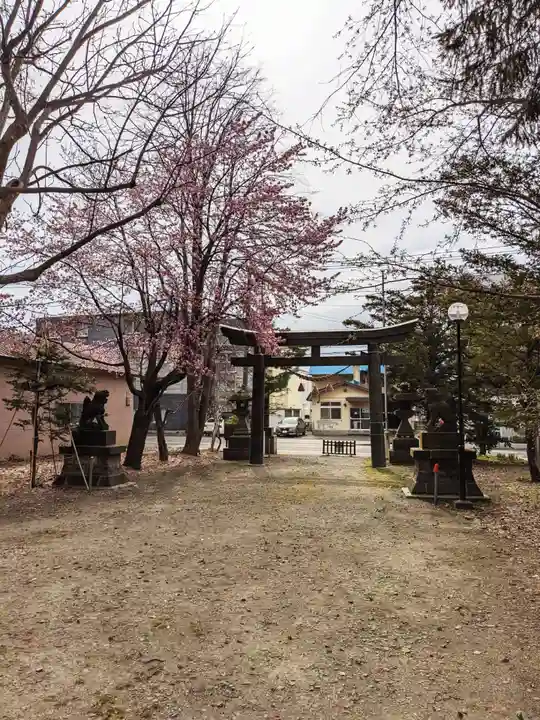 信濃神社の鳥居
