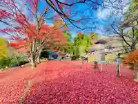 土津神社|こどもと出世の神さま(福島県)