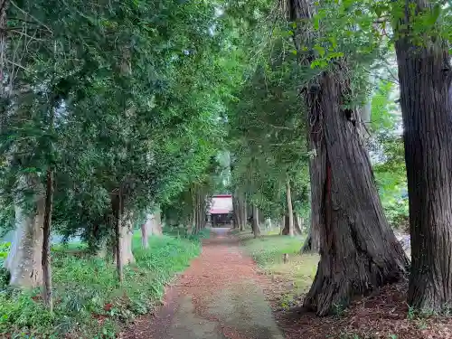 夷針神社(茨城県)