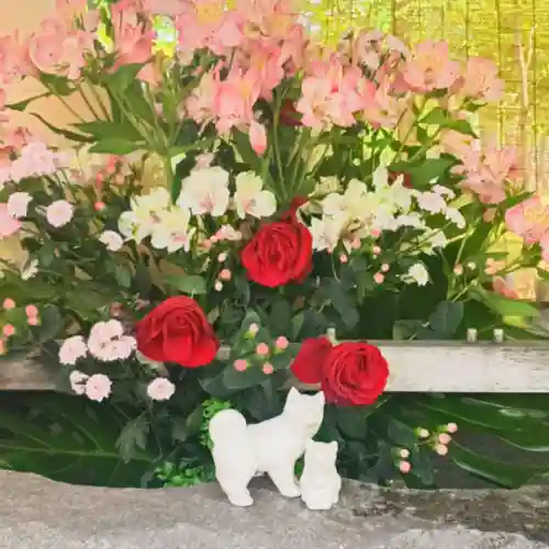 彌彦神社　(伊夜日子神社)の手水舎