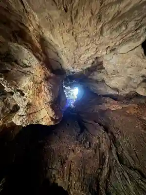 大山祇神社奥の院 生樹の御門(愛媛県)