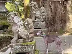 八幡神社(福井県)