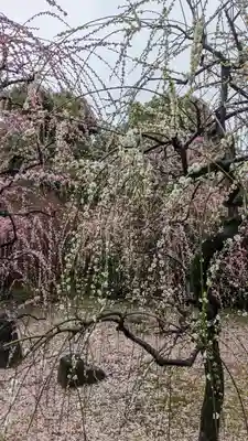 城南宮(京都府)