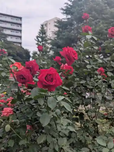 駒込妙義神社(東京都)
