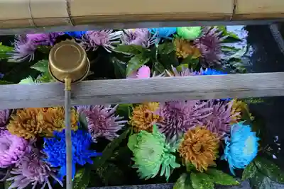 豊景神社の手水舎