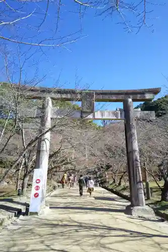 宝満宮竈門神社の鳥居