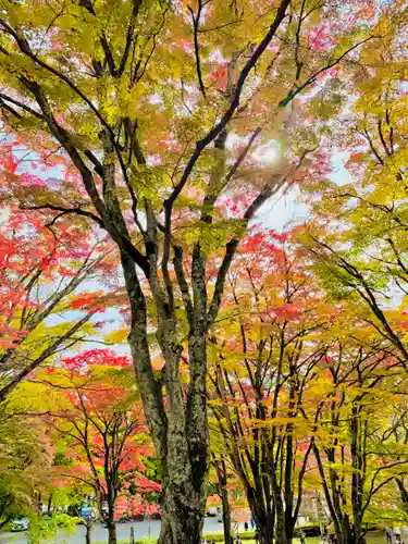 土津神社｜こどもと出世の神さま(福島県)
