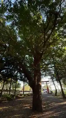 石手堰神社(岩手県)