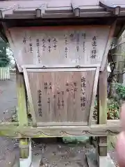 沙沙貴神社の歴史