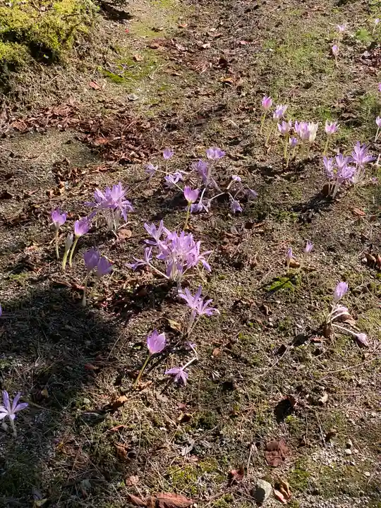 永澤寺(兵庫県)
