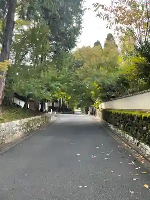 東福禅寺(東福寺)(京都府)