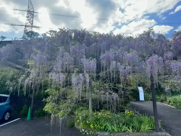 子安地蔵寺の{uncategorized: "未分類", other: "その他", undefined: "問題あり", building: "その他建物", grave: "お墓", sacred_gate: "鳥居", guardian: "狛犬", statue: "像", buddha: "仏像", history: "歴史", nature: "自然", garden: "庭園", animal: "動物", pagoda: "塔", temizu: "手水舎", mountain_gate: "山門・神門", sanctuary: "本殿・本堂", subordinate: "末社・摂社", art: "芸術", scenery: "景色", jizo: "地蔵", ema: "絵馬", goshuin: "御朱印", omikuji: "おみくじ", items: "授与品その他", amulet: "お守り", goshuincho: "御朱印帳", eats: "食事", festival: "お祭り", votive_dance: "神楽", shichigosan: "七五三参", wedding: "結婚式", experience: "体験その他", initially: "初詣", around: "周辺", anti_infection: "感染症対策"}