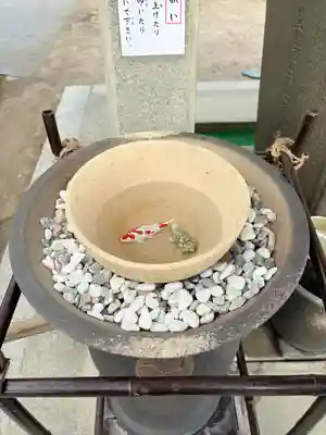 草津八幡宮(広島県)