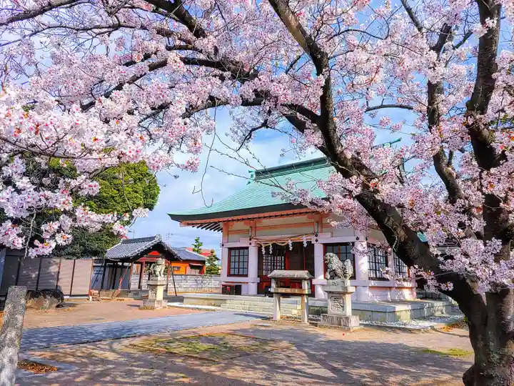 十所社(西之保)の自然