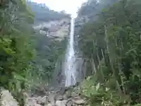 飛瀧神社(熊野那智大社別宮)の自然