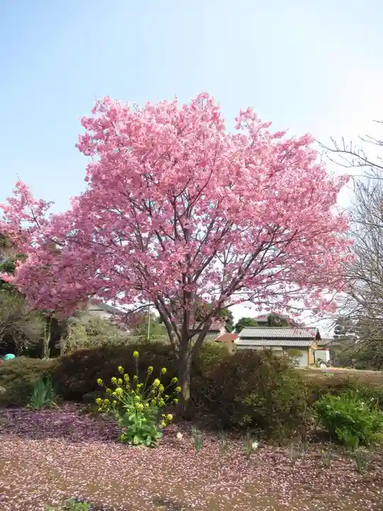 真光寺(千葉県)