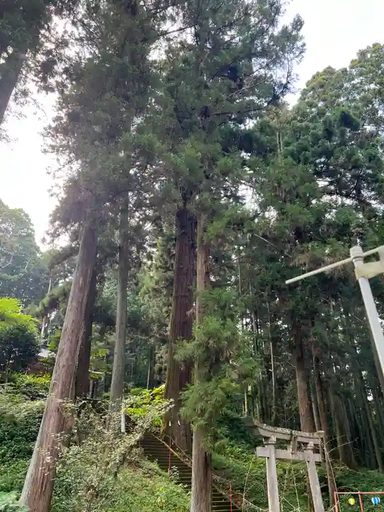 大宮温泉神社の鳥居
