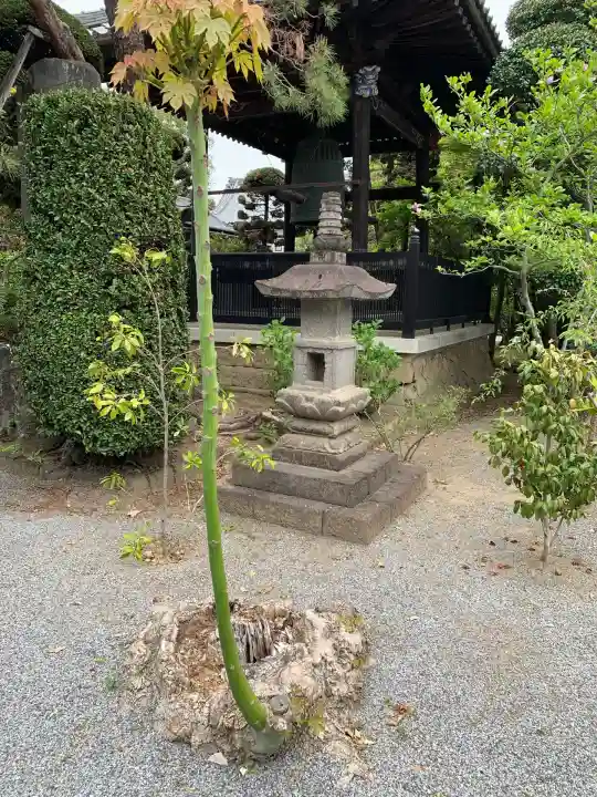 照明寺 (反町薬師尊)(群馬県)