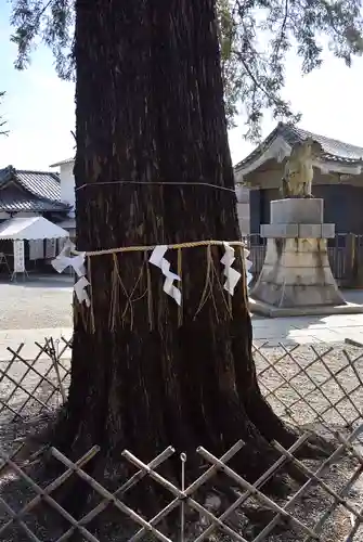 下神明天祖神社(東京都)