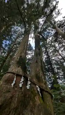 玉置神社(奈良県)