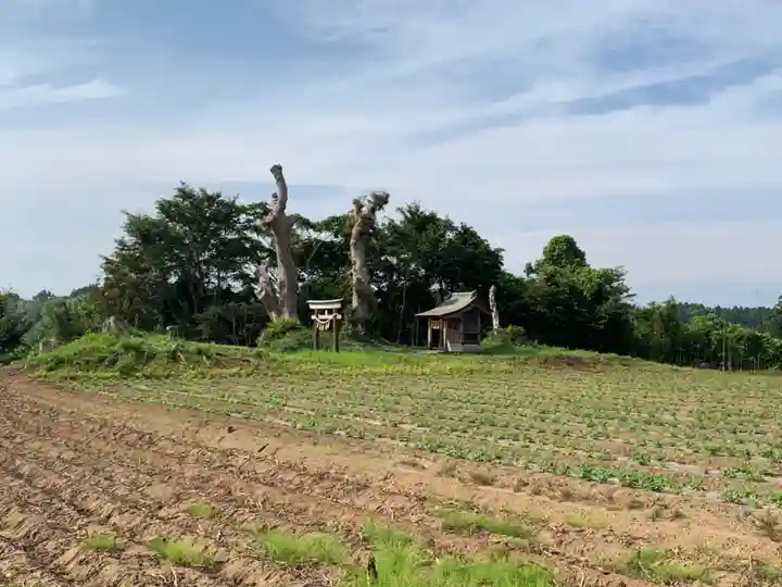 天満宮(千葉県)