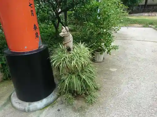 産湯稲荷神社の狛犬