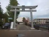 福井神社の鳥居