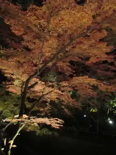 北野天満宮の自然