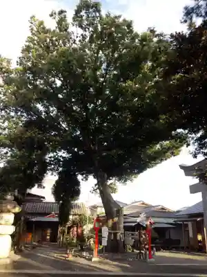 正ノ木稲荷 稲積神社のその他建物