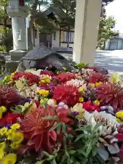 杉杜白髭神社の手水