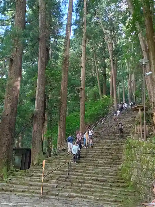 飛瀧神社(熊野那智大社別宮)(和歌山県)