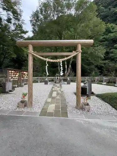 猫神社(鹿児島県)