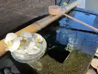 上尾御嶽神社の手水舎